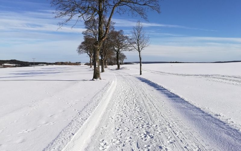 Winterschutz für den Badezuber